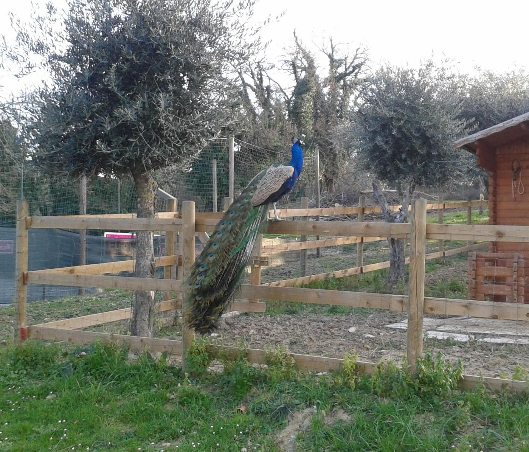 Garden Village San Marino Esterno foto